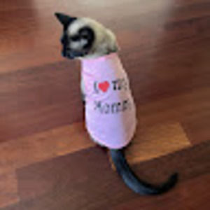 Meet your Posher, Harper